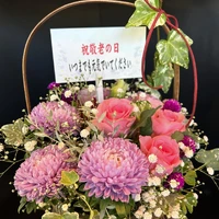 画像584