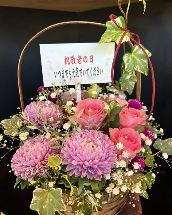 画像584