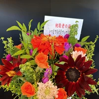 画像586