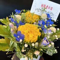 画像588