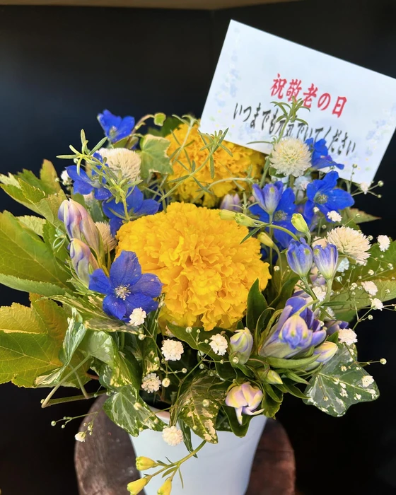 画像588