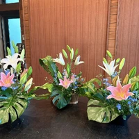 画像626