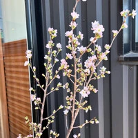 画像790