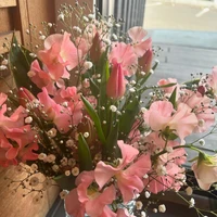画像801