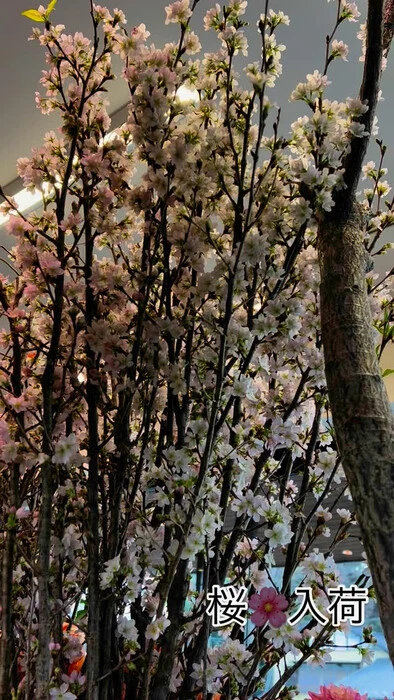 画像811