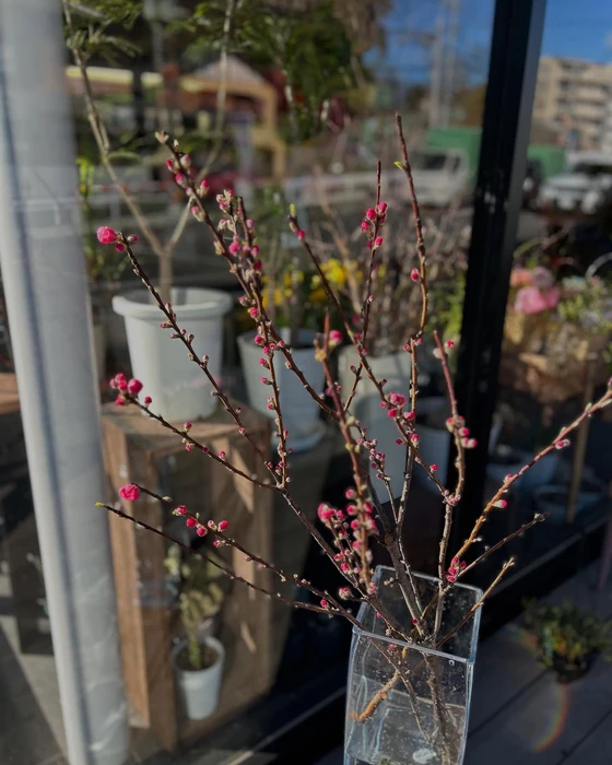 画像901