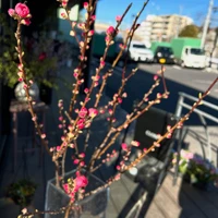 画像902