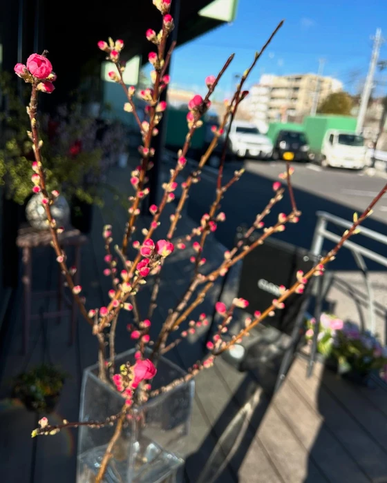 画像902
