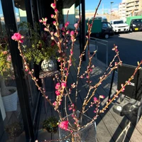 画像903
