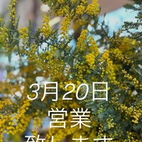 画像912