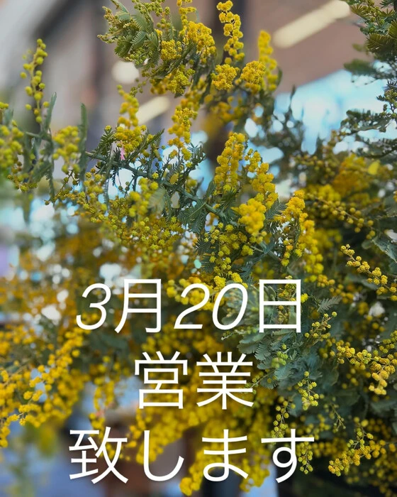 画像912