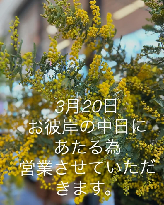 画像914