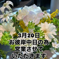 画像931