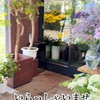 画像962