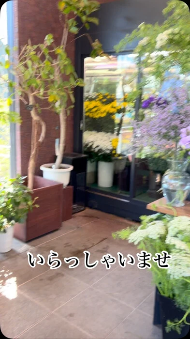 画像962