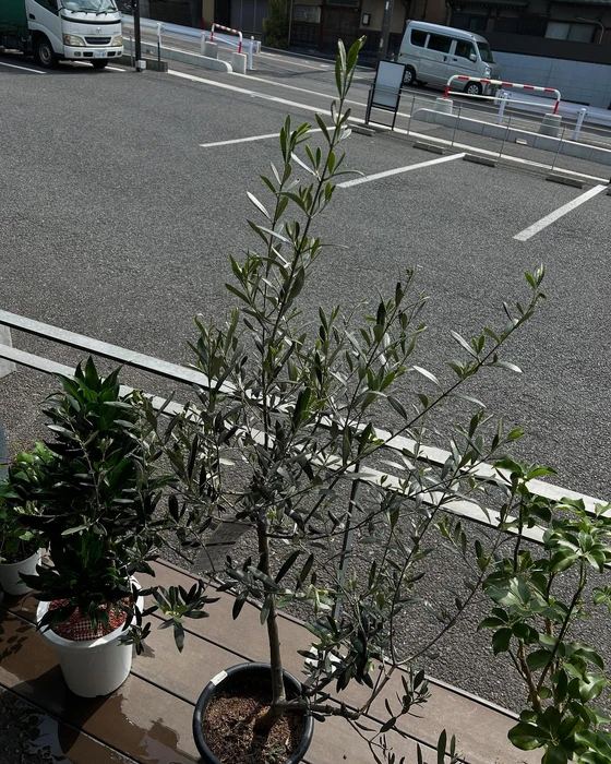 画像999