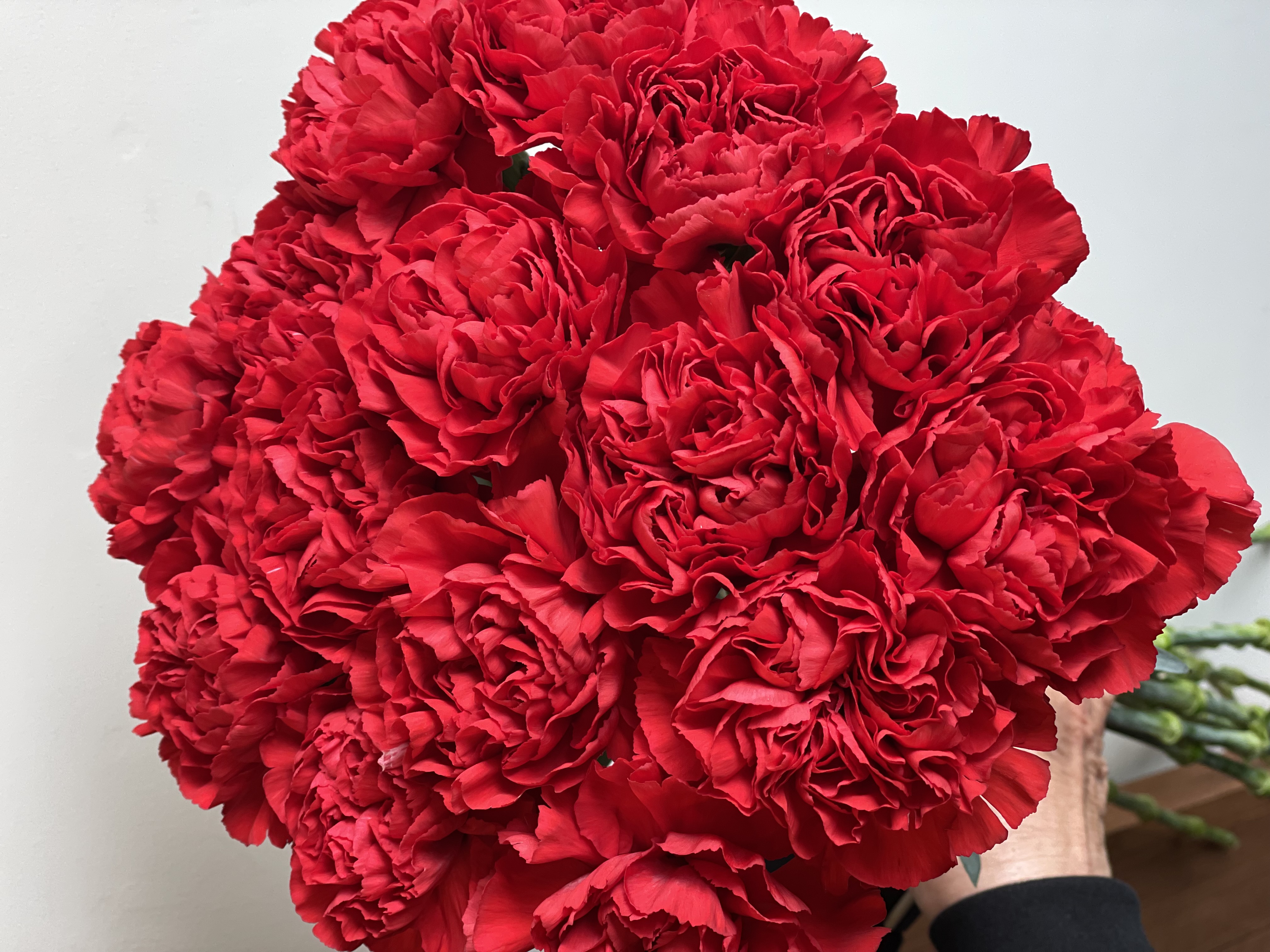 お母さんへの感謝を花で伝えよう
