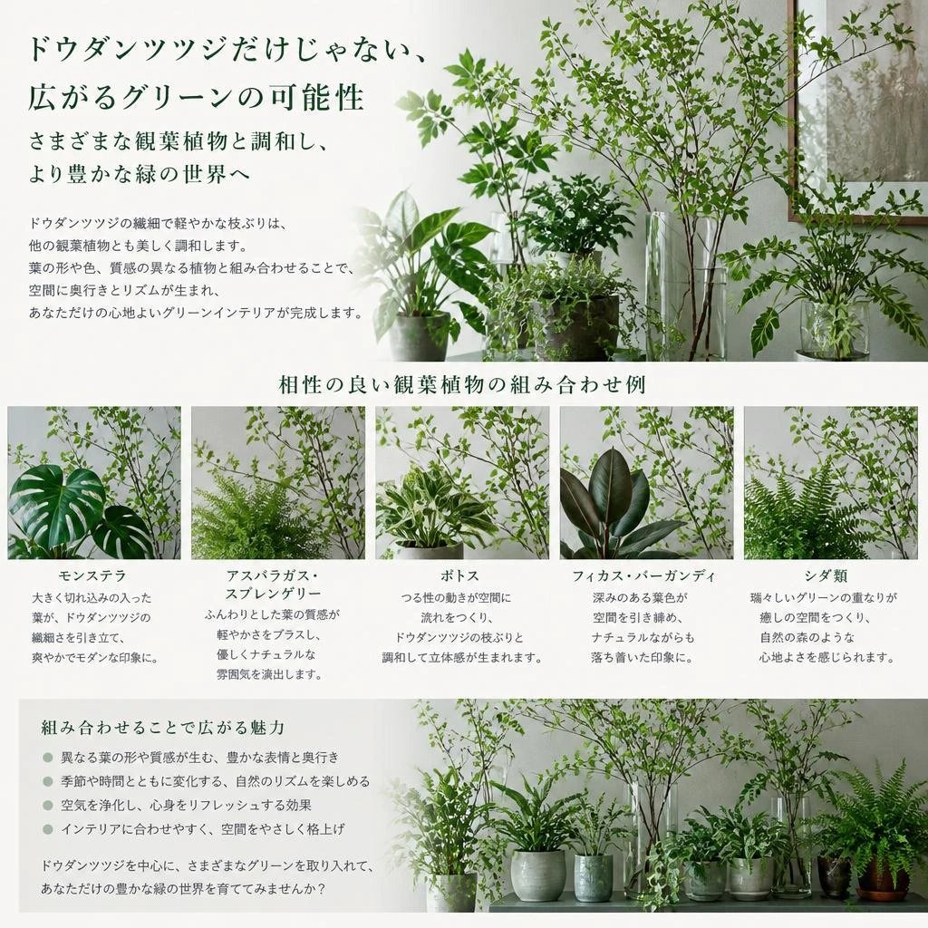 観葉植物との相性